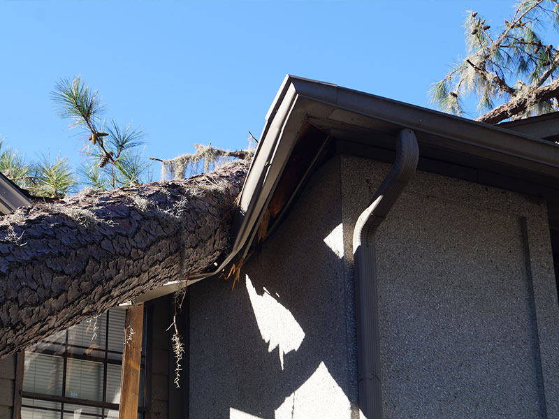 h3 storm damage tree removal west valley city ut